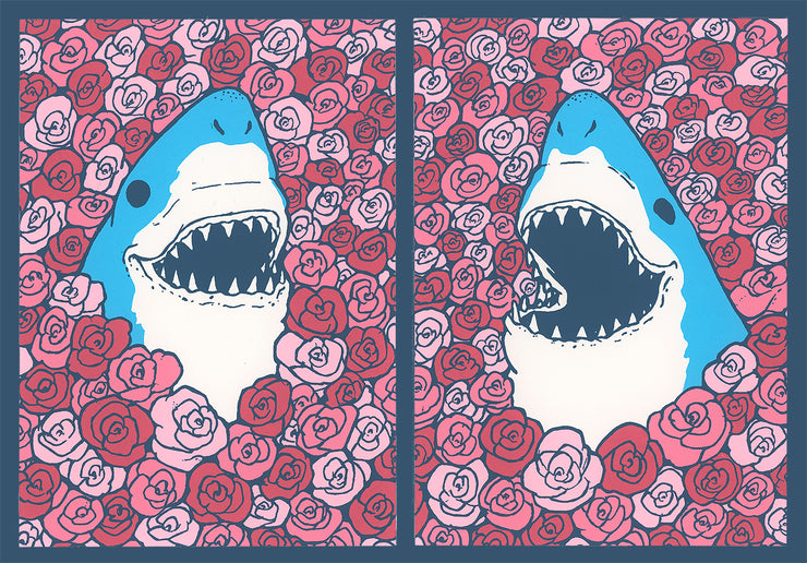 Happy Sharks Club 2-pack