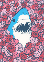 Happy Sharks Club 2-pack