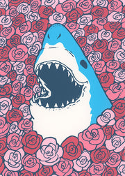 Happy Sharks Club 2-pack