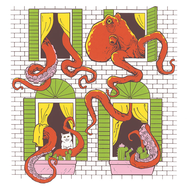 Octopus Window